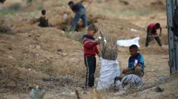 أغصان ورماد.. براءة تصارع ويلات الحرب