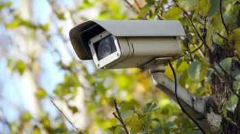 في إربد.. ارتكبوا فعلتهم والكاميرات تكشف هويتهم - فيديو