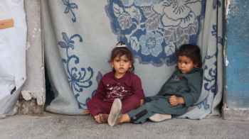 Where Silence Meets Sorrow… and the Wings of Life Still Flutter