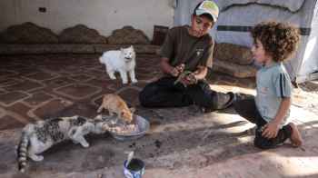 In the heart of hunger and rubble… a boy shares his meager meal with his cats.