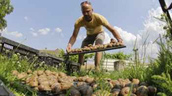 سرقة غريبة من مزرعة بقيمة 100 ألف دولار