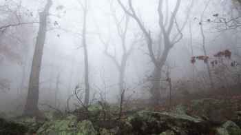 هذا مصير أب اصطحب أطفاله في رحلة شاقة