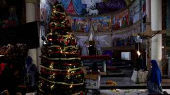 The Christmas tree in Gaza… every branch tells a story imbued with dignity