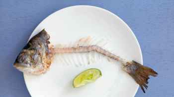 Restaurant owner arrested for serving food leftovers to customers