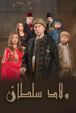 Sultan's sons